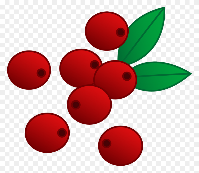 1600x1376 Single Clipart Cranberry - Culinary Clipart