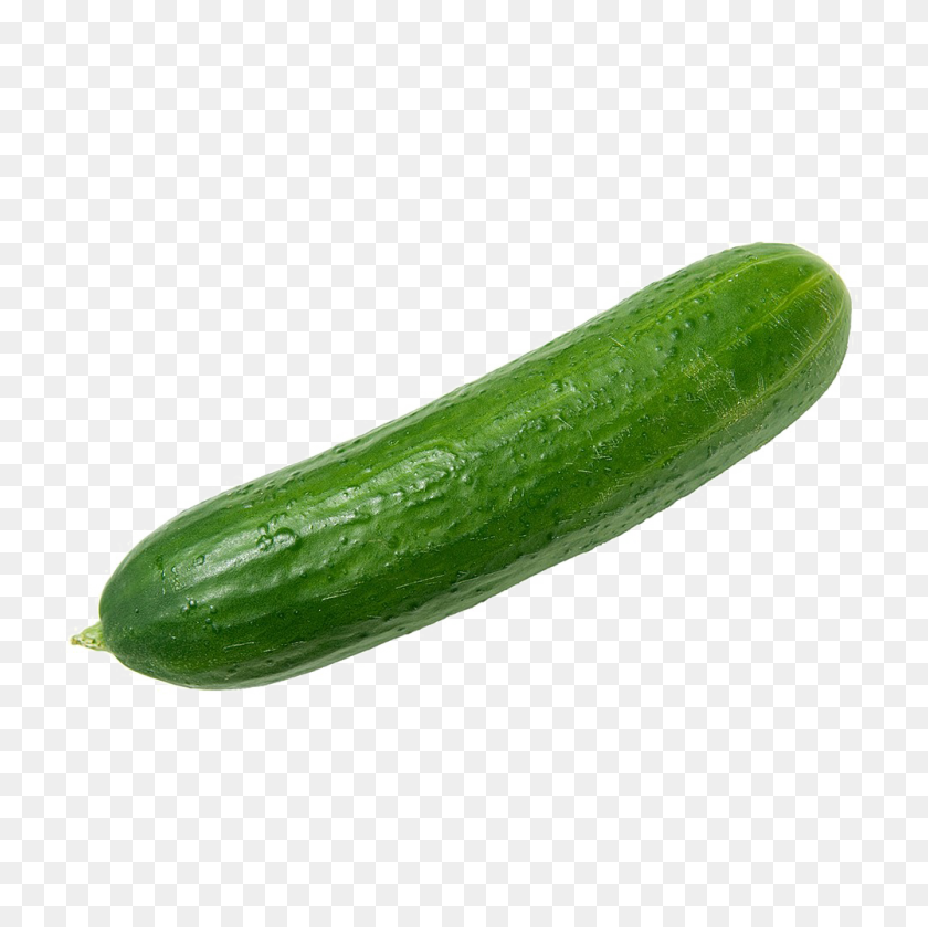 1000x1000 Single Cucumber Png Image Background Png Arts - Cucumber PNG