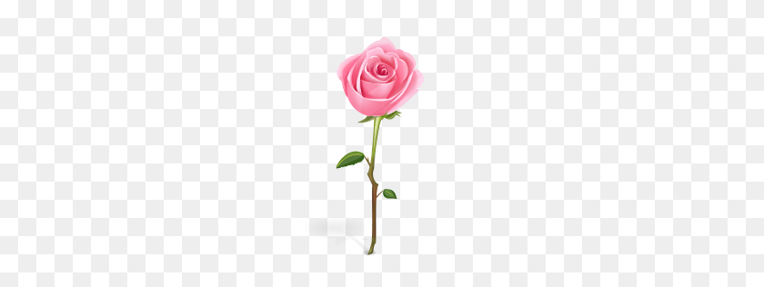 256x256 Single Pink Rose Clip Art - Pink Rose Clipart