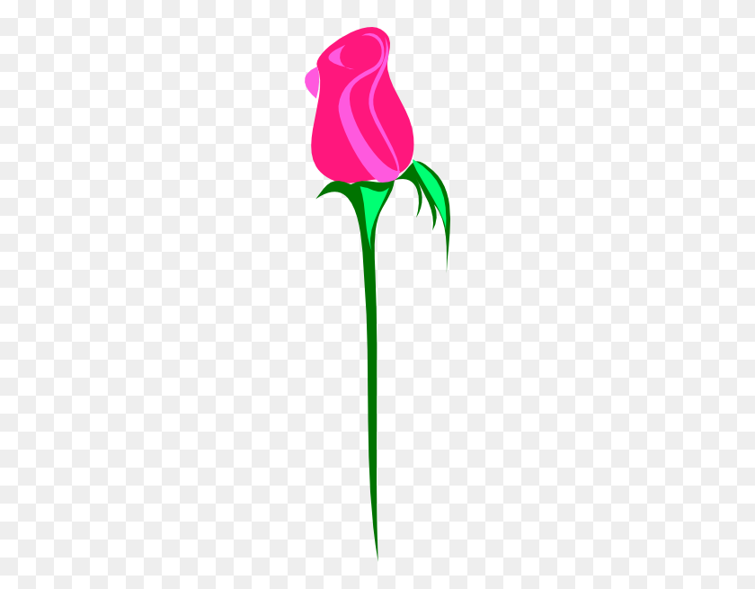 162x595 Single Pink Rose Png Clip Arts For Web - Single Rose PNG