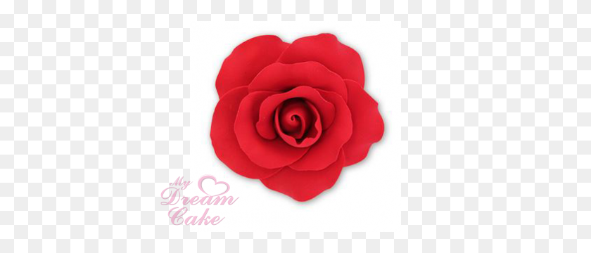 400x300 Одна Красная Большая Роза - Один Цветок Png