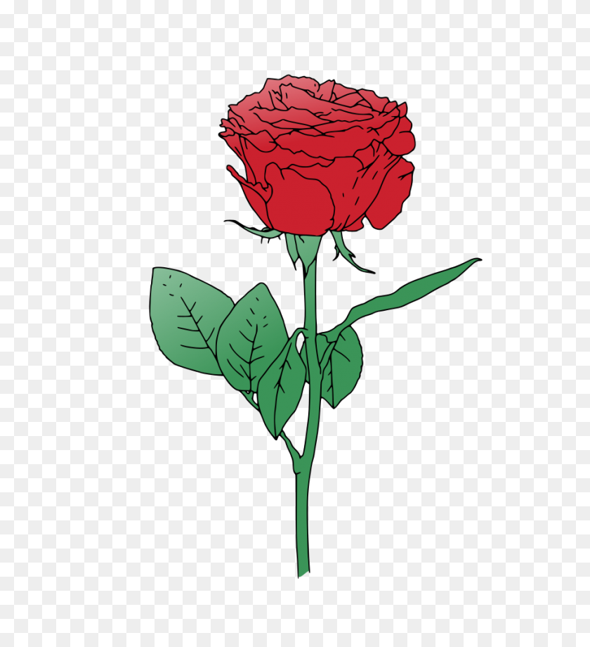 906x1000 Single Red Rose Vector Clipart, Cartoons Illustrations - Rose Vector PNG