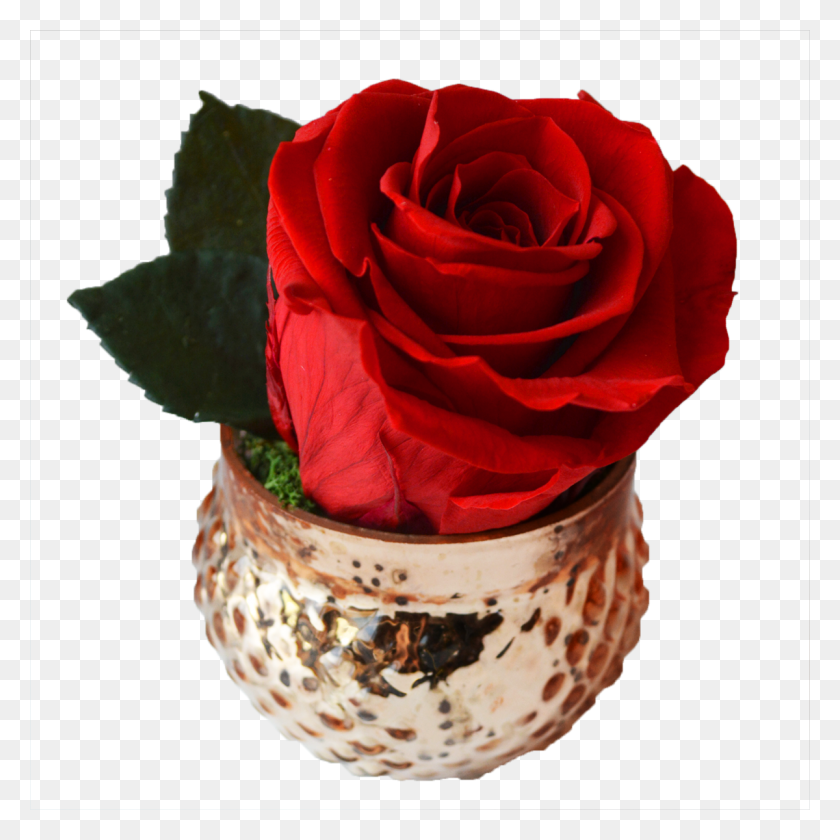 1200x1200 Single Rose Votive Luxe Bloom - Gold Flowers PNG