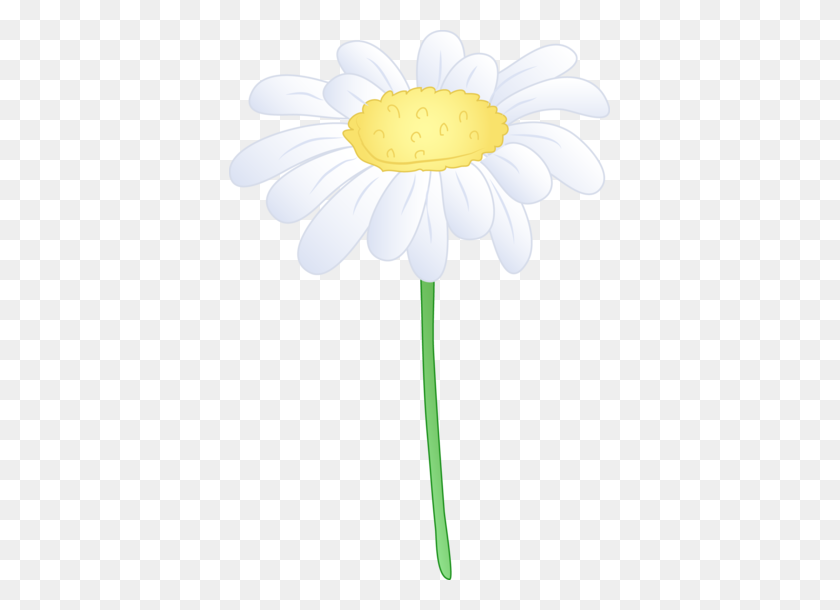381x550 Single White Daisy Flower - Elliptical Clipart