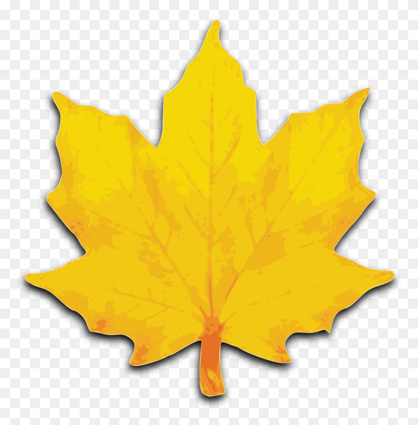 2357x2400 Single Yellow Leaf Clip Art Free Cliparts - Mimosa Clipart