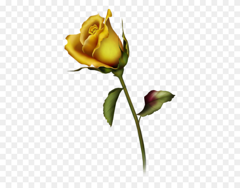 390x600 Single Yellow Rose Clipart - Rose With Thorns Clipart