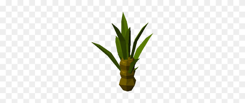 234x294 Sisal Agave Plant - Agave PNG