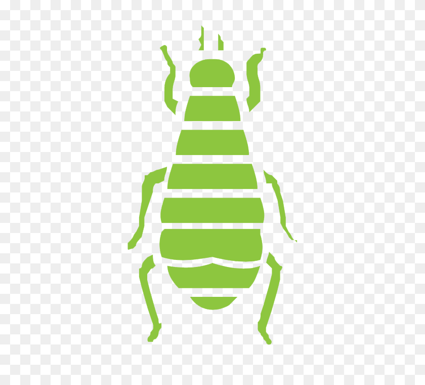 700x700 Six Brothers Pest Control Pest Control Done Right! - Fleas Clipart