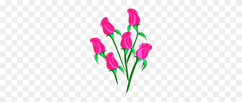 216x297 Шесть Розовых Роз Картинки - Одна Роза Клипарт
