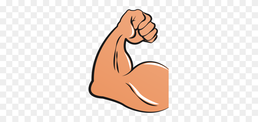 263x340 Skeletal Muscle Arm Drawing Biceps - Flexing Muscles Clipart