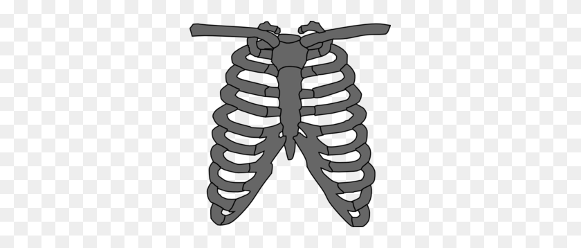 291x298 Skeleton Arms Bones Clipart - Skeleton Arm Clipart