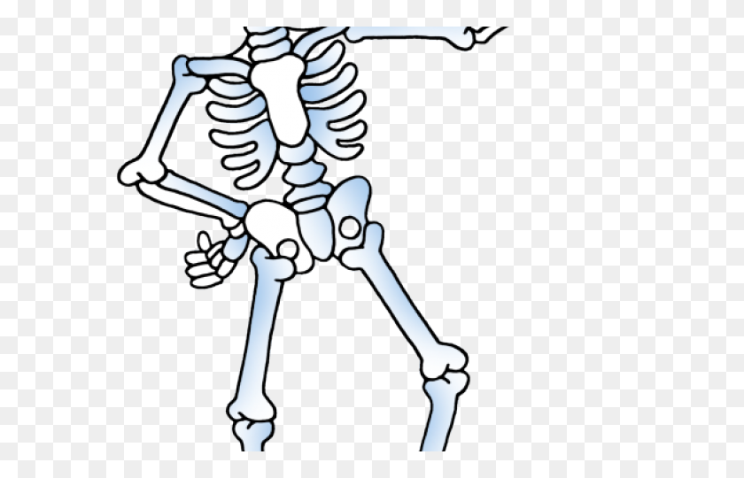 640x480 Skeleton Clipart - Fish Skeleton Clipart