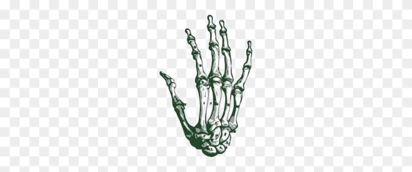 190x292 Skeleton Hand - Skeleton Hand PNG