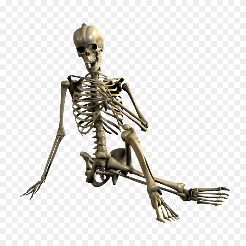 1280x1280 Skeleton Hand In Front Of Chest Transparent Png - Skeleton Hand PNG