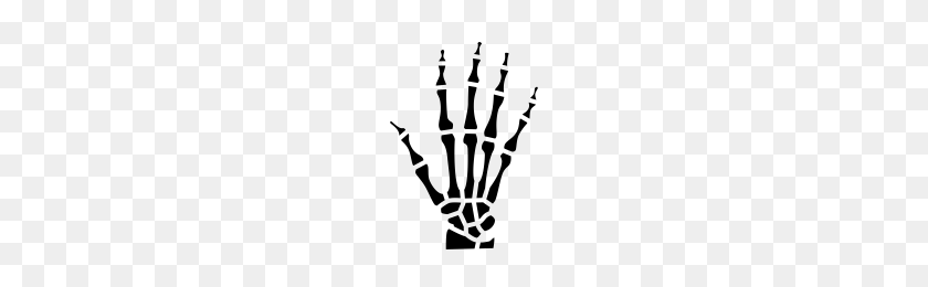 200x200 Skeleton Icons Noun Project - Skeleton Hand PNG