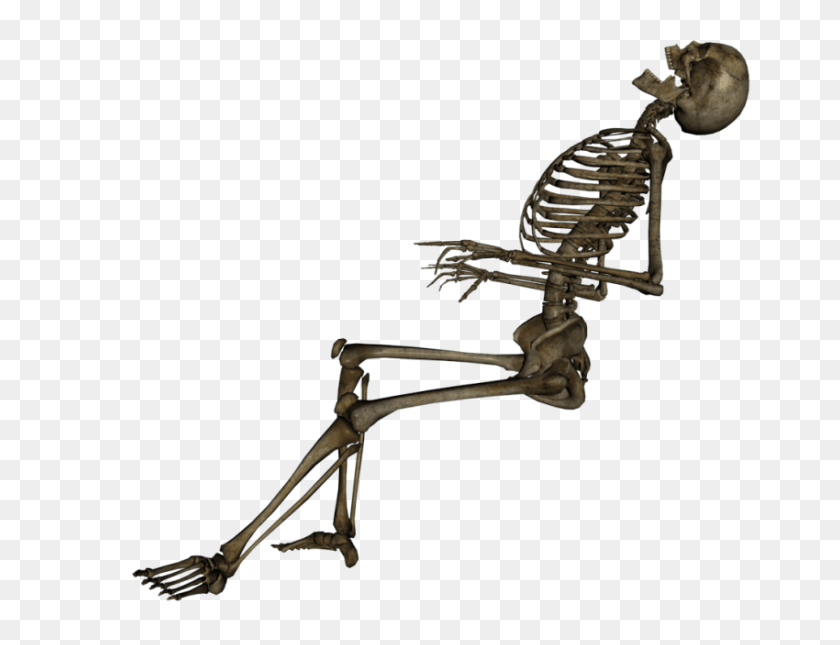 850x638 Skeleton, Skull Png - Skeleton PNG