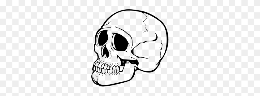 250x250 Skeleton Skulls Images Free Download Clipart Image - Halloween Skeleton Clipart