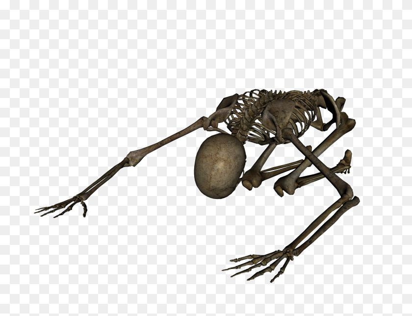 2400x1800 Skeleton, Skulls Png Images Free Download - Dancing Skeleton PNG