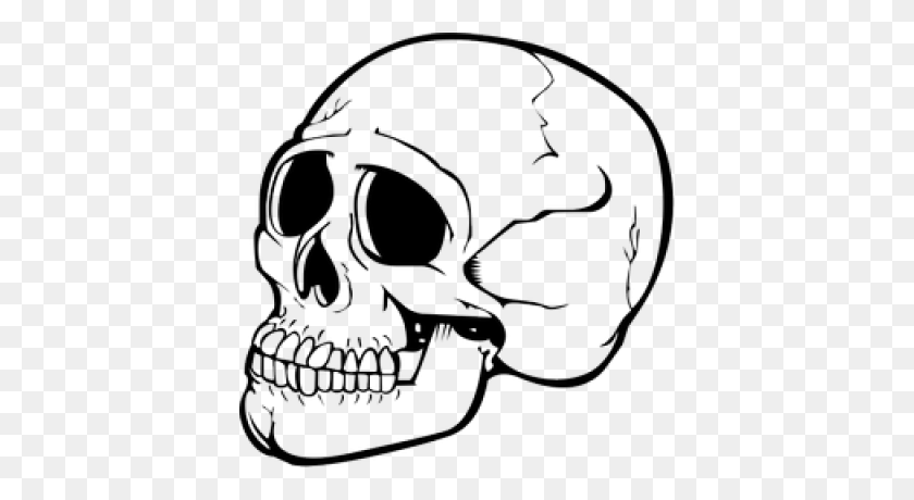 400x400 Cráneo Png Imagen Dlpng - Cráneo Png Transparente
