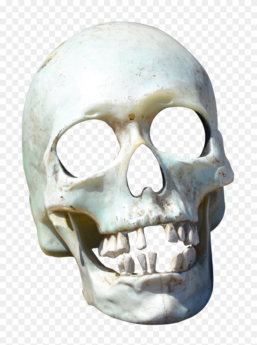 1100x1503 Skull Png Transparent Image - Skull PNG Transparent
