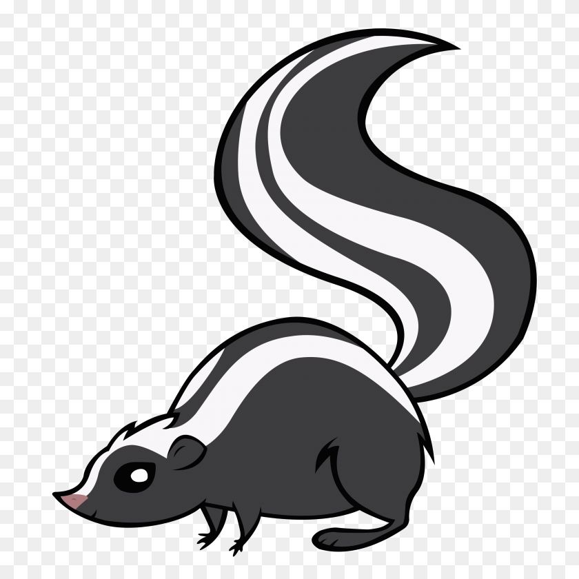 3000x3000 Skunk Png Images Free Download - Tail PNG