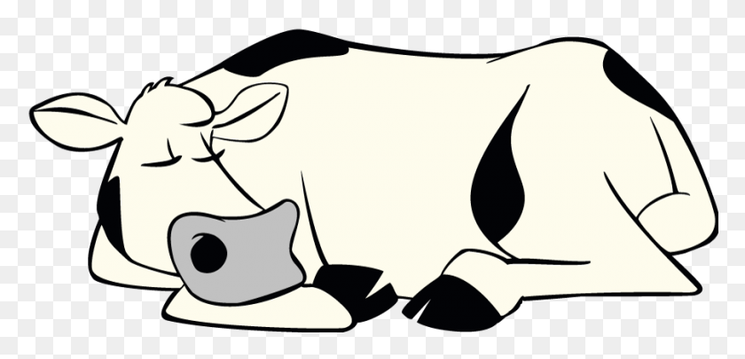 900x399 Спящая Корова Dakin Dairy Farms - Спящий Клипарт Черно-Белый