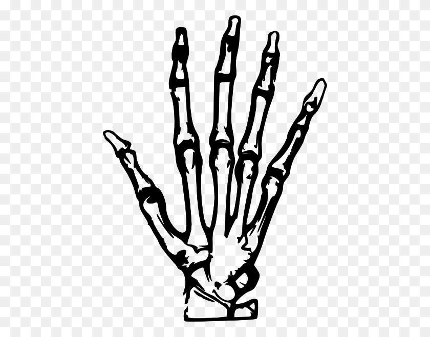 438x599 Sleleton Clipart Hand Pointing - Physiology Clipart