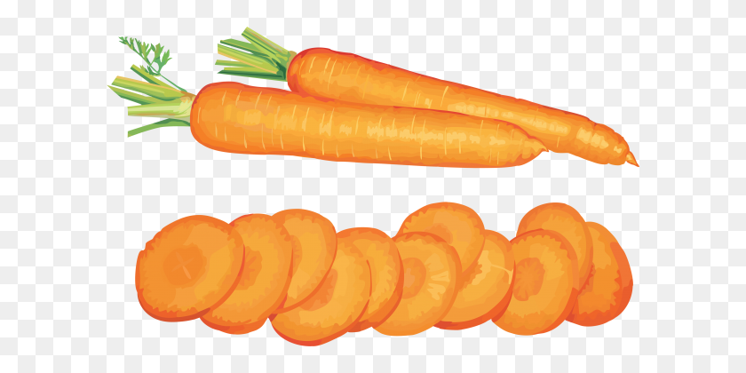 600x360 Sliced Carrot Png - Carrot PNG