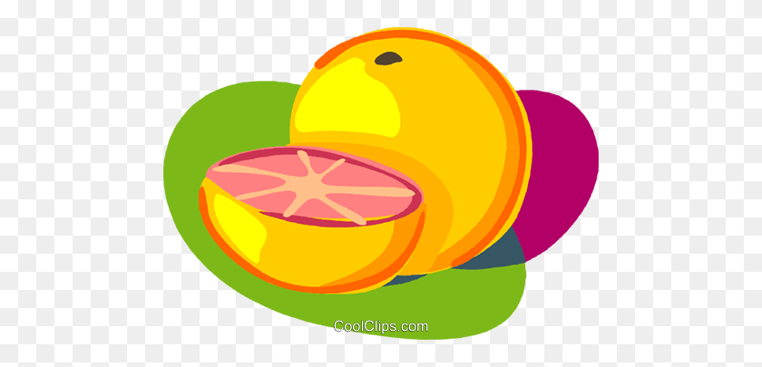 480x345 Sliced Grapefruit Royalty Free Vector Clip Art Illustration - Grapefruit Clipart