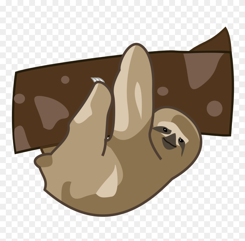 768x768 Sloth Cartoon - Sloth Clipart