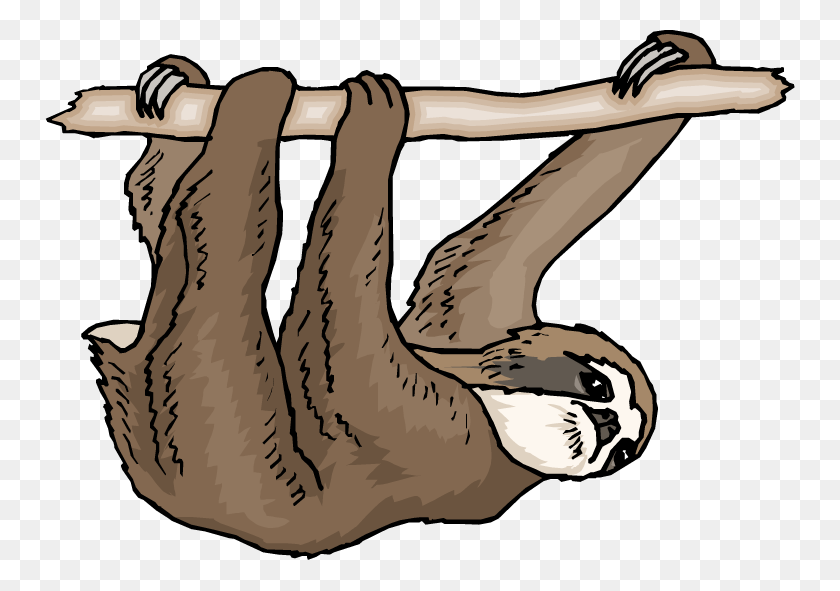 750x531 Sloth Clipart - Irony Clipart