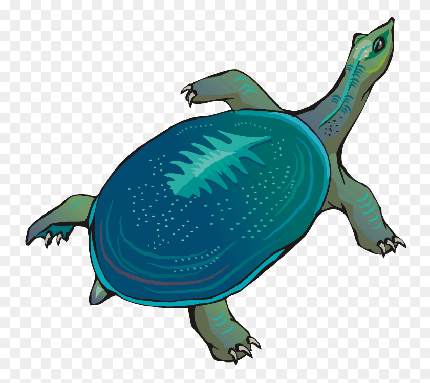 750x688 Tortuga De Dibujos Animados De Clipart Lento - Clipart De Lento