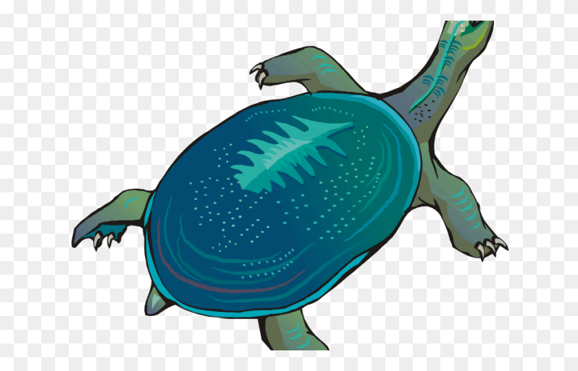 640x480 Slow Clipart Cartoon Turtle - Turtle Images Clip Art