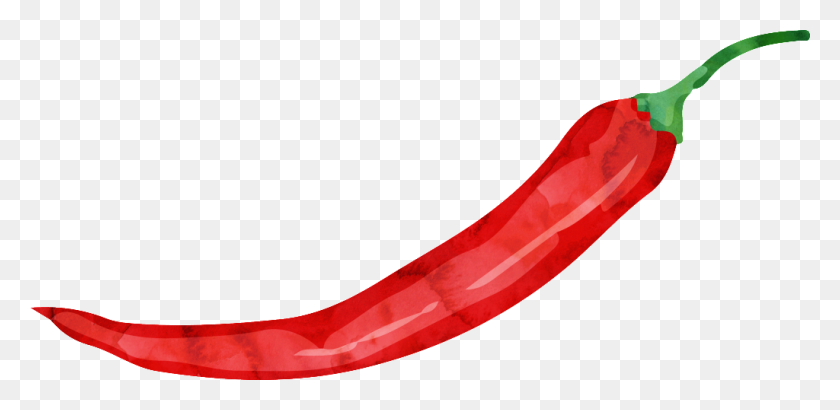 1024x460 Small Chili Cartoon Transparent Free Png Download Png Vector - Chili PNG