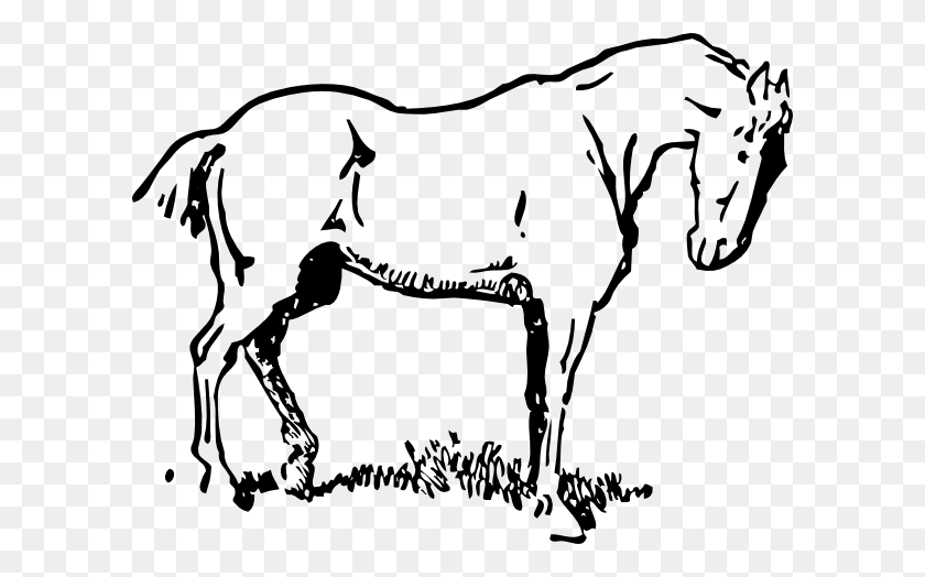 600x464 Small Horse Cliparts - Horse Clipart Outline