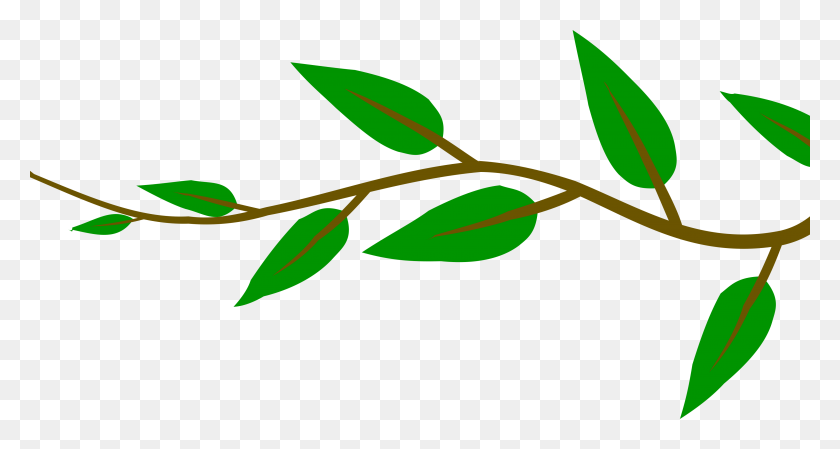 4000x2000 Small Tree Branch With Green Leaves Image Png Photo - Green Leaves PNG