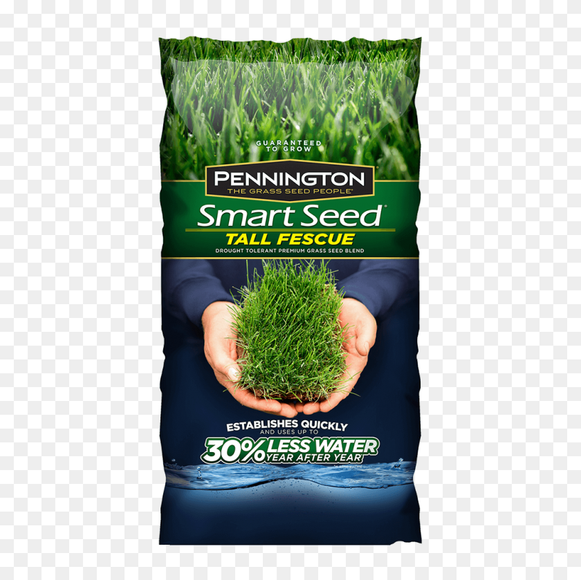 1000x1000 Smart Seed Tall Fescue - Wild Grass PNG