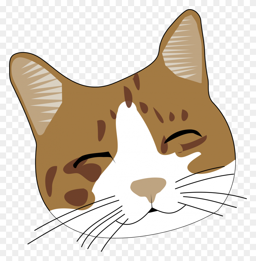 2349x2400 Smile Cat Icons Png - Cat PNG