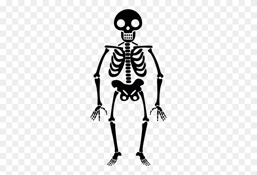 512x512 Smiling Skeleton - Skeleton PNG