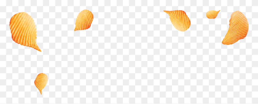 1314x475 Snackcity - Chips PNG