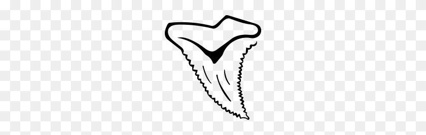 190x207 Клыкастый Зуб Акулы - Зубы Акулы Png