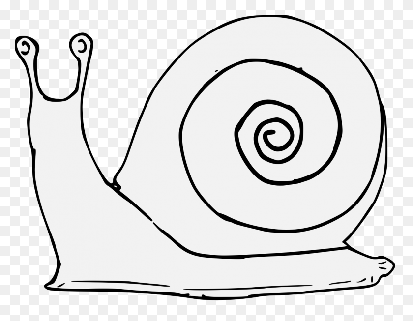 1181x899 Snail - Snail Clipart Black And White