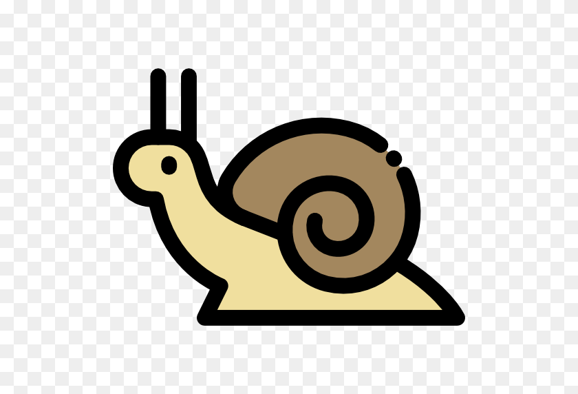 512x512 Snail - Snail PNG