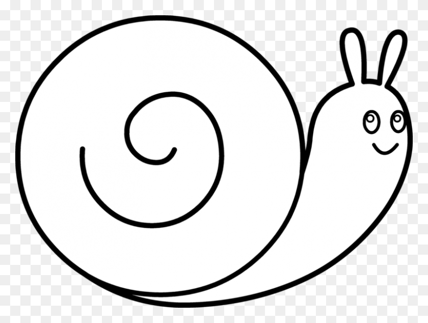 800x589 Snail Black And White Clipart - Snail Clipart Black And White