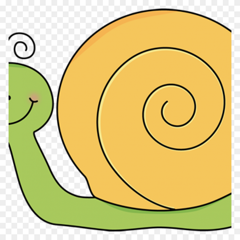 1024x1024 Caracol Clipart