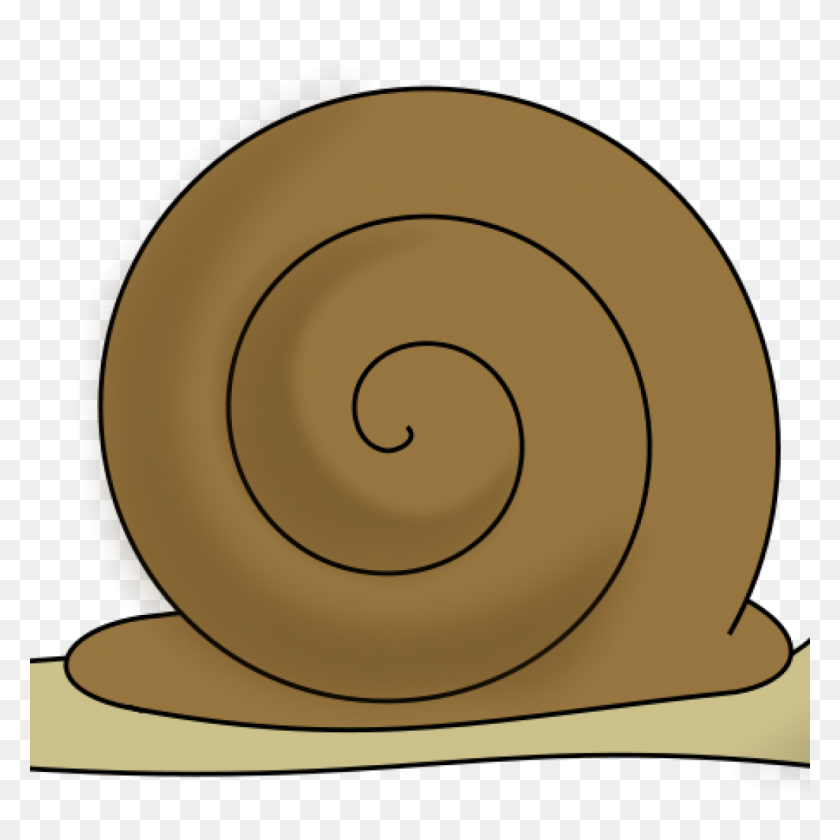 1024x1024 Snail Clip Art Free Clipart Download - Free Rodeo Clipart