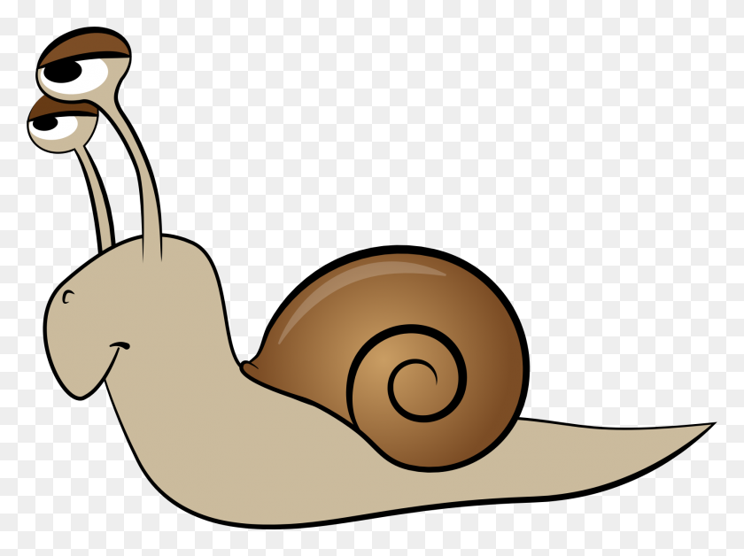 1787x1303 Snail Clipart Black And White - Snail Clipart Black And White