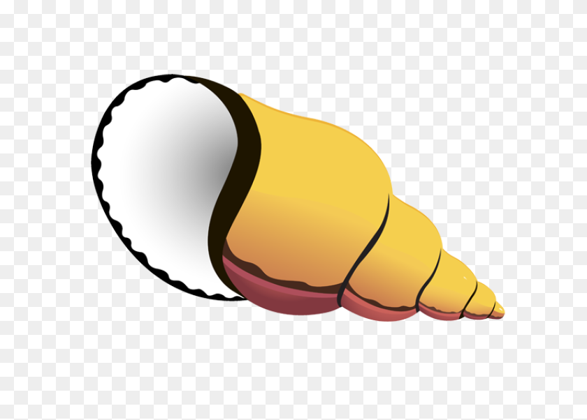 639x542 Snail Clipart Snail Shell - Shell PNG