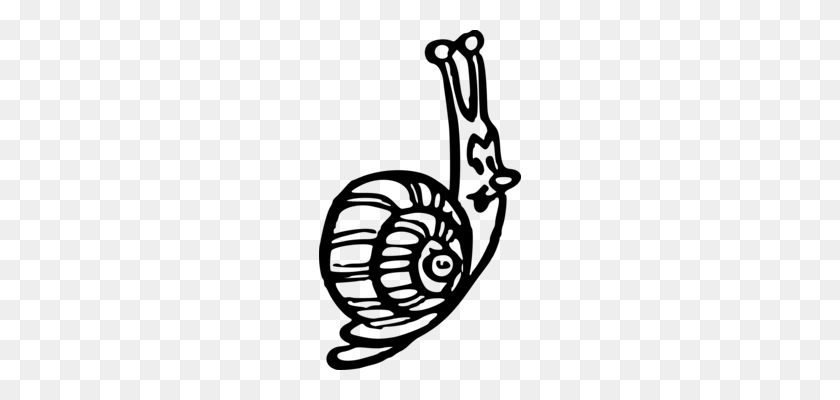 202x340 Snail Gastropod Shell Early Childhood Education Cartoon Free - Yarn Clipart Black And White