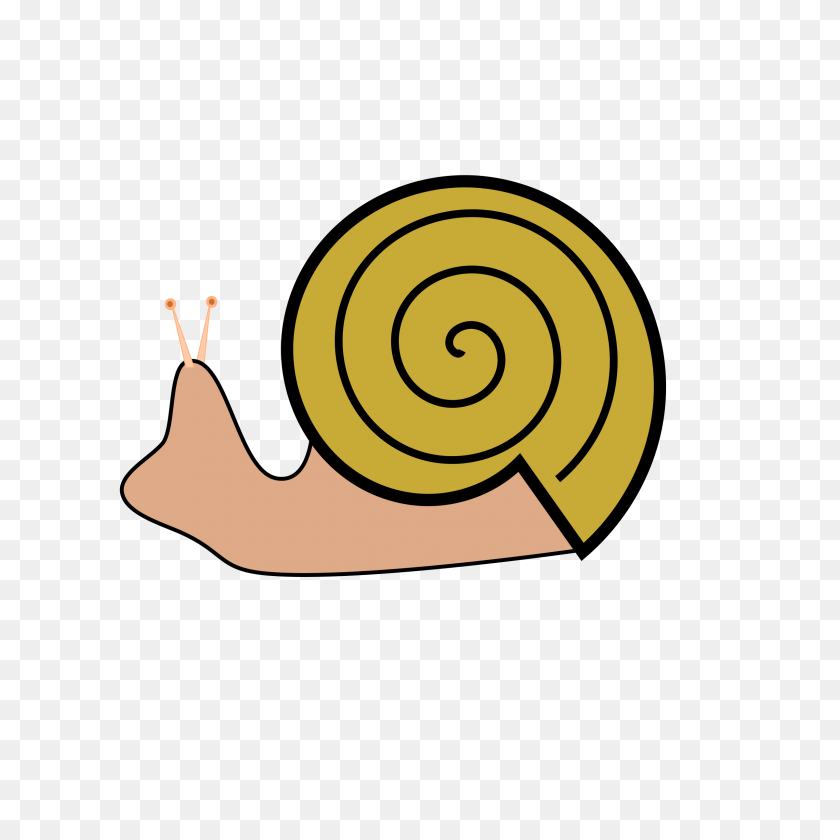 2400x2400 Snail Icons Png - Snail PNG